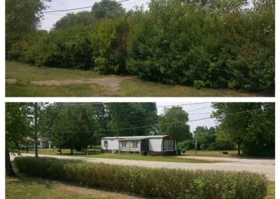 Lawn Care Services Perrysville